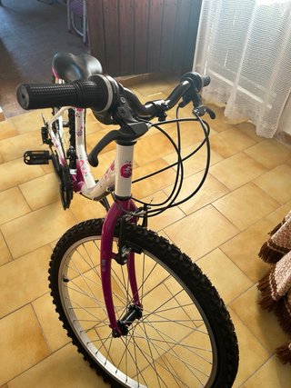 Bicicleta 24 Niña Rosa