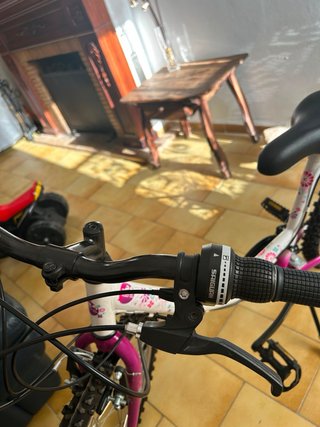 Bicicleta 24 Niña Rosa
