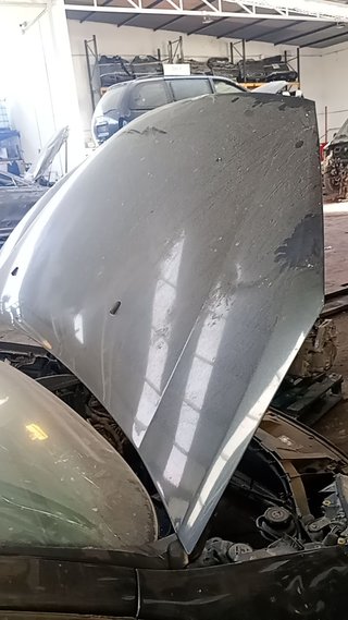 CAPO Ford S-MAX (CA1)(2006->)