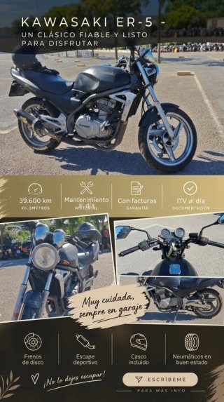 Kawasaki ER-5 Naked Negra/Gris
