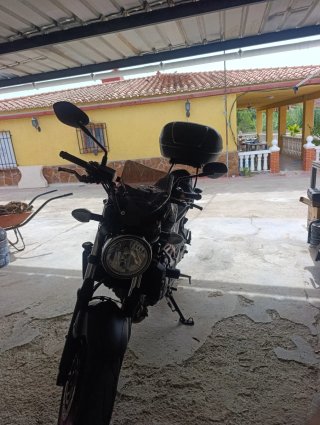 Cúpula Parabrisas Suzuki SV650 Barracuda