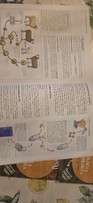 Biología y Geología, 4 ESO, Operación mundo