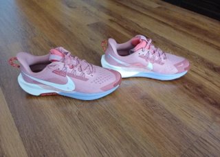 Nike Pegasus Trail 5 Mujer Rosa