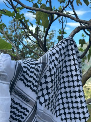 Keffiyeh Palestinese Bianco Nero
