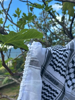 Keffiyeh Palestinese Bianco Nero