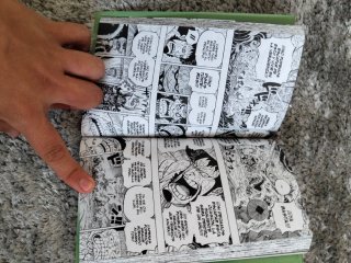 One Piece 95
