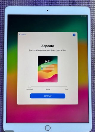 iPad Pro 10.5 256 GB Plata