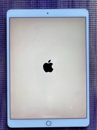 iPad Pro 10.5 256 GB Plata
