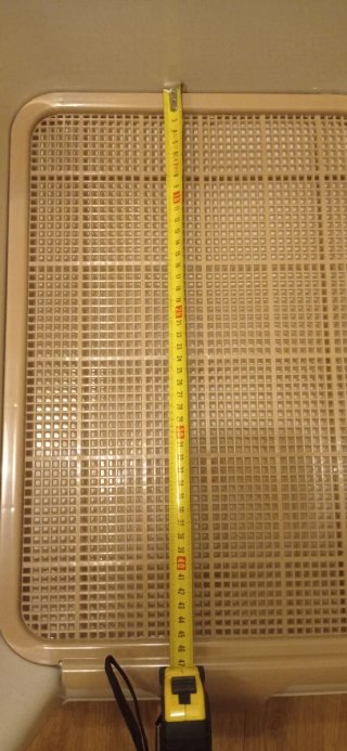 Base para tapete de treino sanitário cão