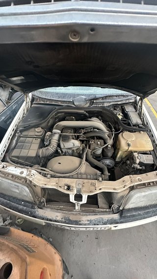 Despiece Mercedes W202 (Elegance)