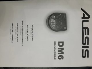 Batería Electrónica Alesis DM6