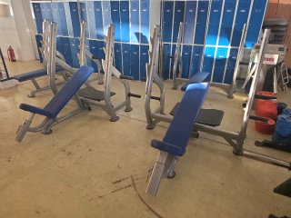 Lote completo de máquinas de gimnasio