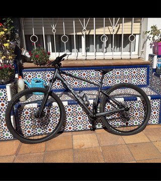 Bicicleta de montaña Focus
