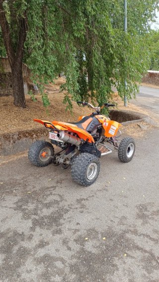 Polaris Predator 500 Troy Lee Edición