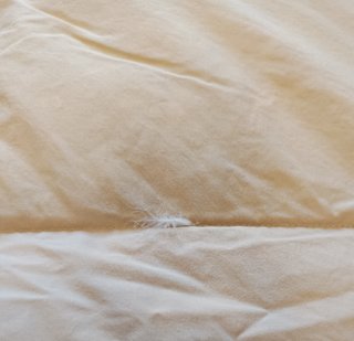 Relleno Nórdico Cama 105 Beige/Blanco