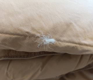 Relleno Nórdico Cama 105 Beige/Blanco