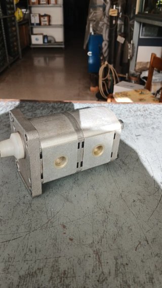 Pompa doppia