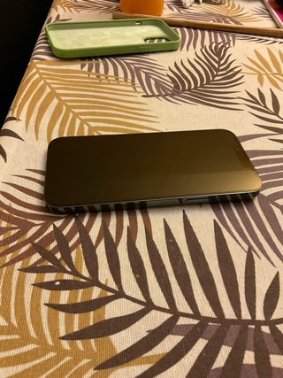 iPhone 13 Pro Max Verde