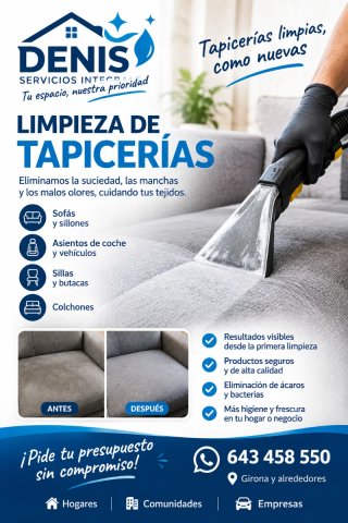 Limpieza de tapicerias