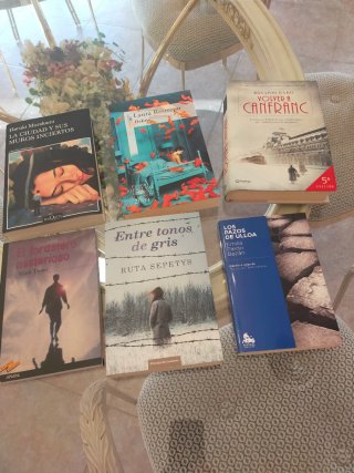 Lote de 6 libros novela variados