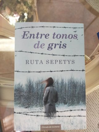 Lote de 6 libros novela variados