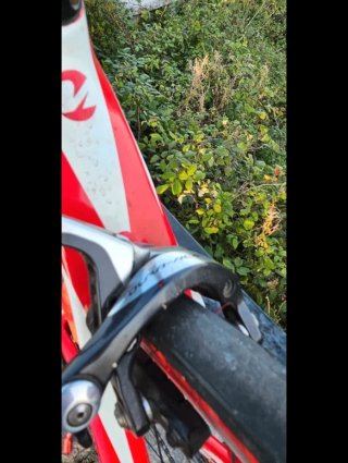 Bicicleta Massi Carbono