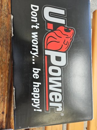 Zapatos de trabajo U-Power