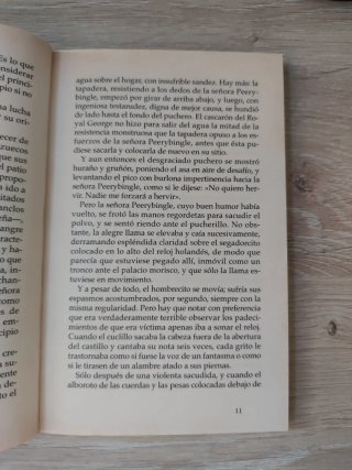El Grillo Del Hogar