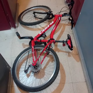 Bicicleta Infantil R-DR 24