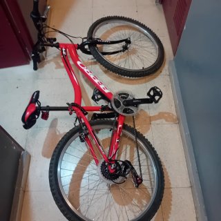 Bicicleta Infantil R-DR 24