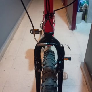 Bicicleta Infantil R-DR 24
