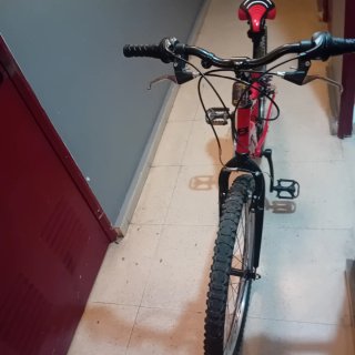 Bicicleta Infantil R-DR 24