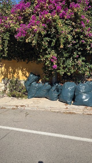 Jardinero