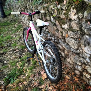 Bicicleta QUER 20 pulgadas