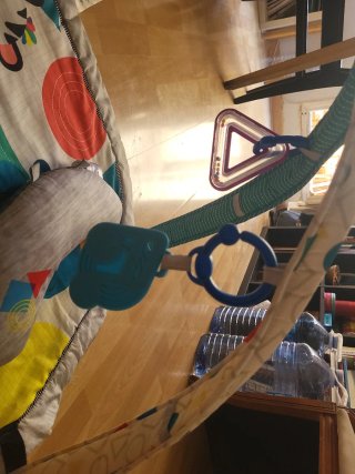 Manta Gimnasio Bebé Baby Einstein