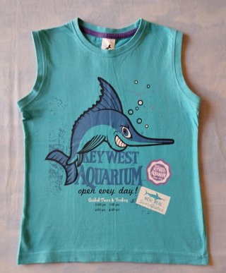 Lote 2 camisetas niño
