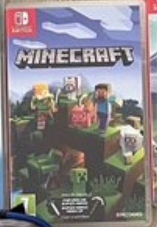 Minecraft Nintendo Switch