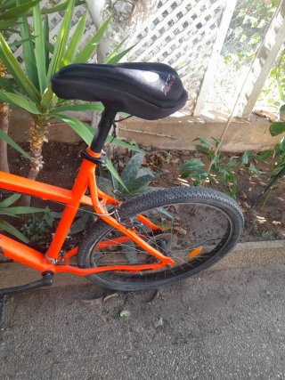 Bicicleta Naranja Grande