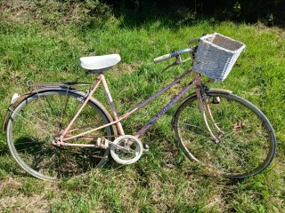 Bicicleta rosa mujer con cesta