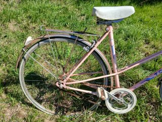 Bicicleta rosa mujer con cesta