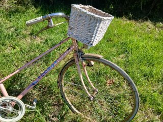 Bicicleta rosa mujer con cesta