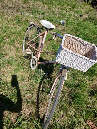 Bicicleta rosa mujer con cesta