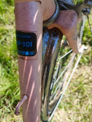 Bicicleta rosa mujer con cesta