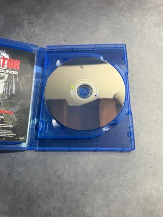 The Last of Us Part II PS4
