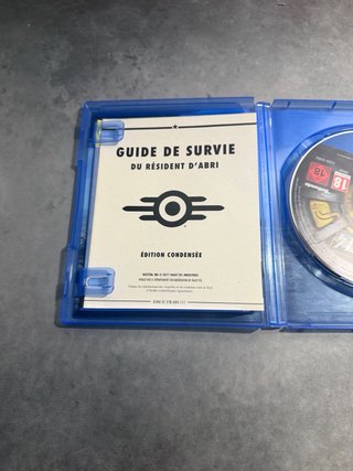 Fallout 4 PS4 (PlayStation 4)