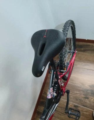 Bicicleta Decathlon adulto