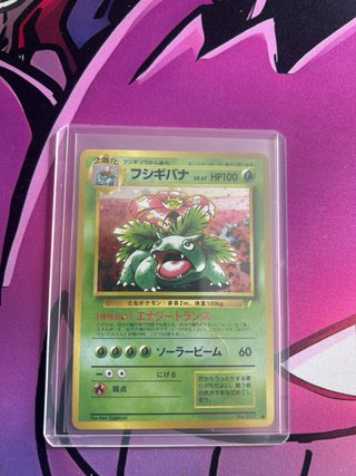 Venusaur 003 Japones Holo Carta Pokemon