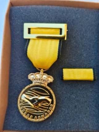 Medalla DANA Fuerzas Armadas Corona