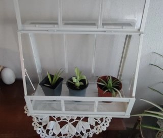 Invernadero IKEA ÅKERBÄR Blanco