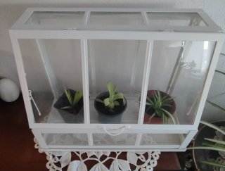 Invernadero IKEA ÅKERBÄR Blanco